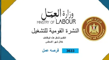 فرص عمل جديدة للشباب: 3633 وظيفة متاحة في 34 شركة خاصة عبر 10 محافظات