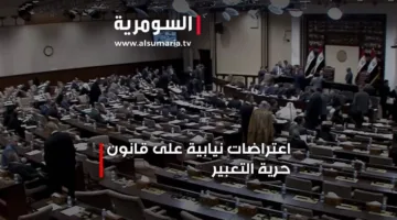 اعتراضات برلمانية على قانون حرية الرأي والتعبير
