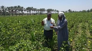 إدارة مكافحة الآفات الزراعية تنفذ 158 جولة ميدانية في يوليو