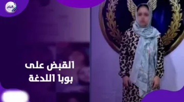 فيديوهات مسيئة تم تداولها.. بوبا اللدغة تحت قبضة الأمن | إنفوجراف