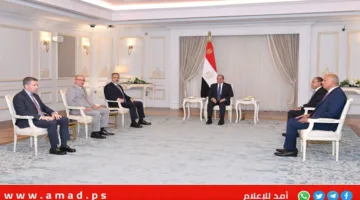 خلال اجتماع الوزير التركي فيدان… السيسي يرفض الاحتلال الإسرائيلي لغزة وخطة التهجير.