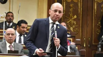 نائب برلماني: البيان العربي الإسلامي حول غزة يبعث برسالة قوية لوقف العدوان ومحاسبة الاحتلال