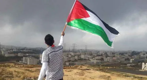 استطلاع: معظم الألمان يؤيدون الاعتراف بفلسطين كدولة دون تأخير استطلاع: معظم الألمان يؤيدون الاعتراف بفلسطين كدولة دون تأخير