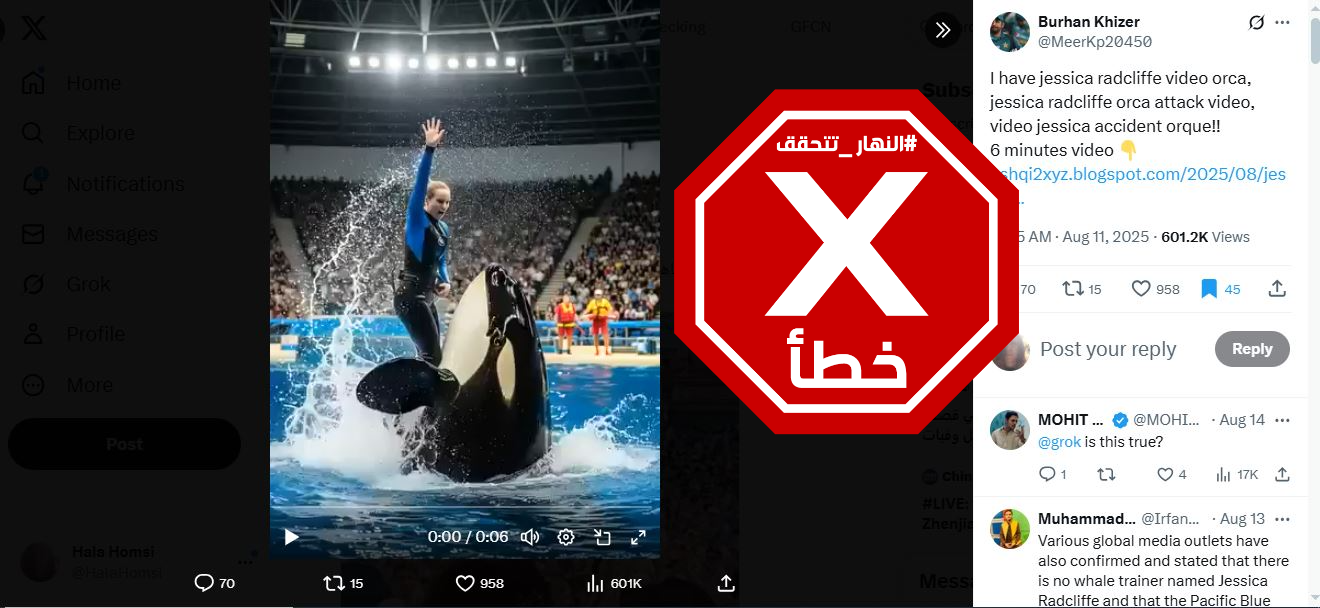 لقطة من الفيديو المتناقل بالمزاعم الخاطئة (اكس)