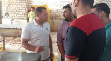 ضبط 10 أطنان من هياكل الدواجن غير صالحة للاستخدام البشري في الجيزة