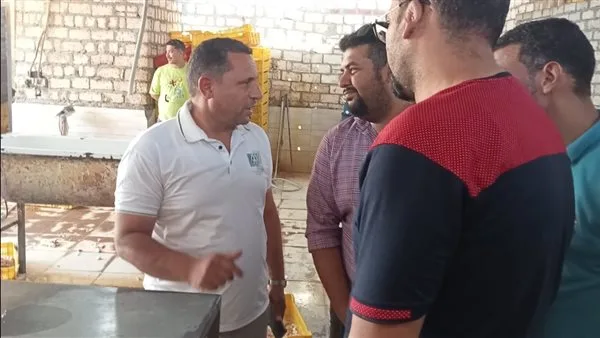 ضبط 10 أطنان من هياكل الدواجن غير صالحة للاستخدام البشري في الجيزة