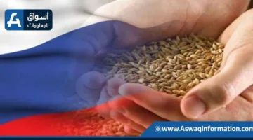 روسيا تحقق حصادًا كبيرًا من الحبوب بواقع 75 مليون طن مع ارتفاع الإنتاج الزراعي