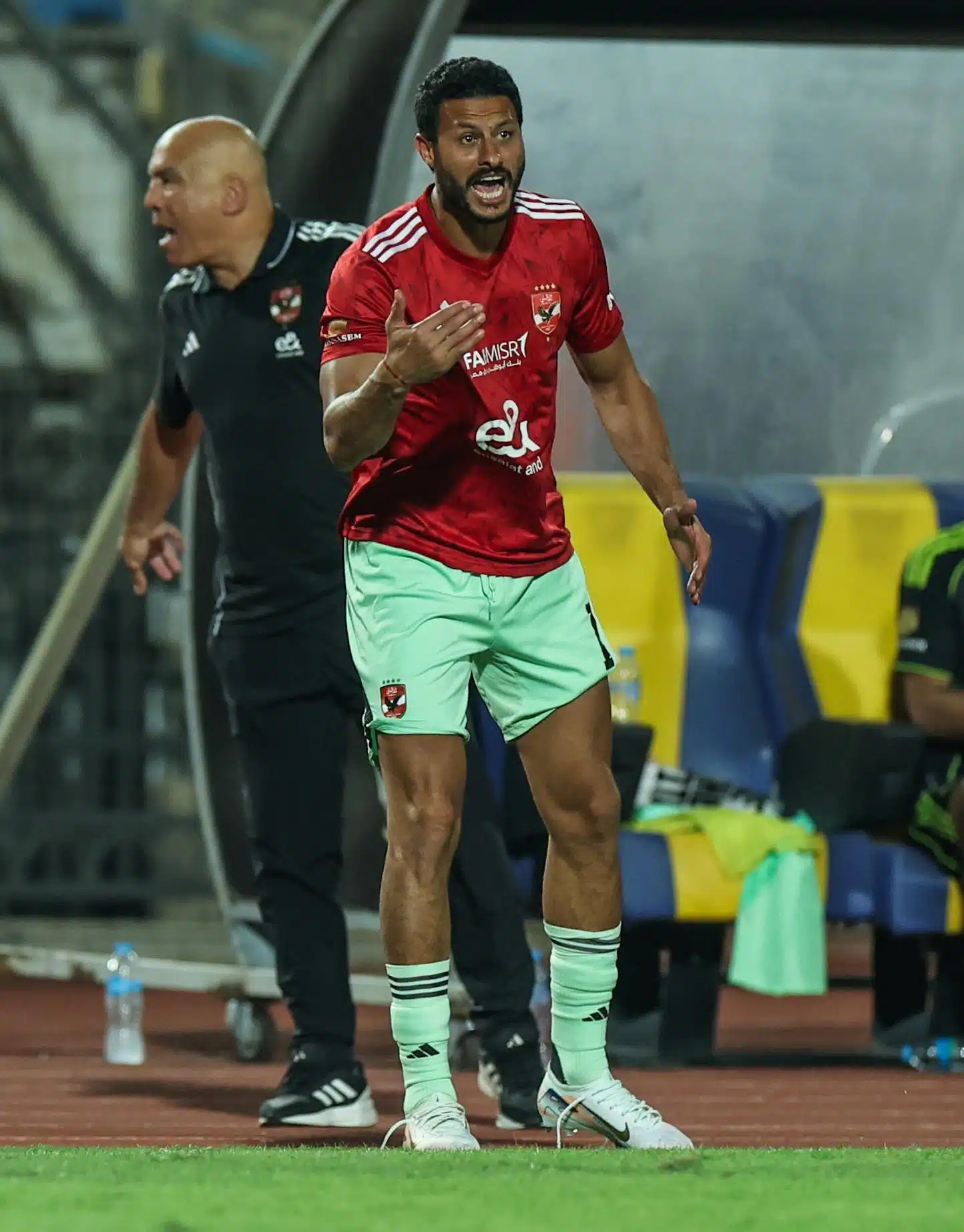 محمد الشناوي
