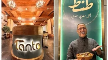 الفن ليس كافيًا بمفرده.. نجوم مصر يغيرون قواعد اللعبة ويرتفعون إلى عالم الأعمال