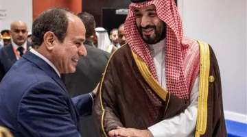 الرئيس السيسي وولي العهد السعودي يشددان على ضرورة وقف النار في غزة