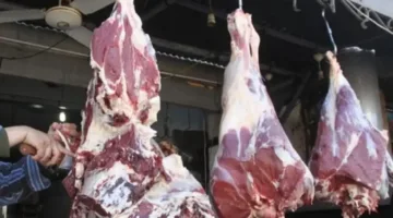نقيب الفلاحين يوضح: سعر كيلو اللحمة الحية يجب ألا يتجاوز 145 جنيهًا