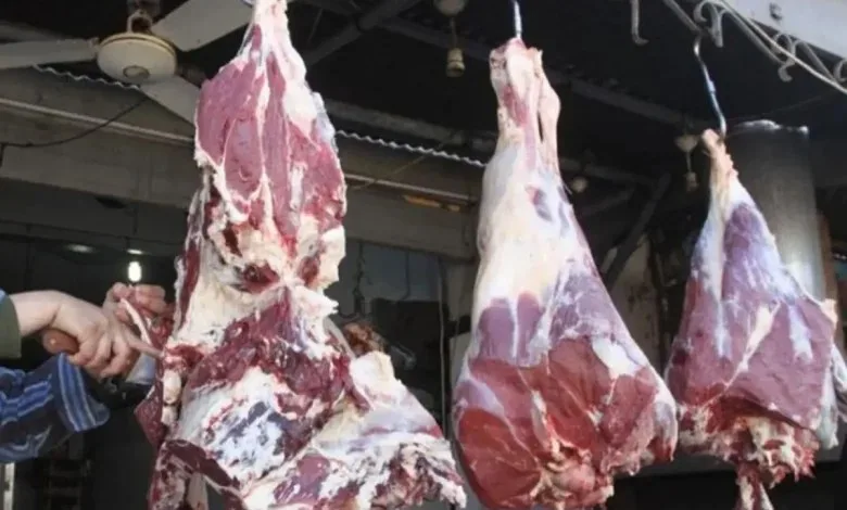 نقيب الفلاحين يوضح: سعر كيلو اللحمة الحية يجب ألا يتجاوز 145 جنيهًا نقيب الفلاحين يوضح: سعر كيلو اللحمة الحية يجب ألا يتجاوز 145 جنيهًا
