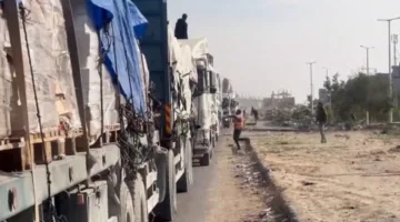 أيرلندا تطالب بتأسيس قوة دولية لضمان توصيل المساعدات إلى غزة