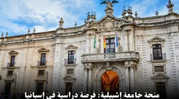 كيفية الحصول على منحة دراسية مجانية: خطوات التسجيل في منحة جامعة إشبيلية 2025 والشروط المطلوبة.