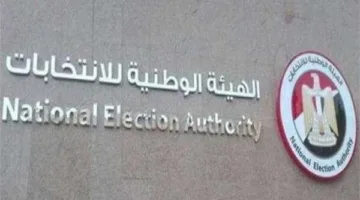 عاجل.. مؤتمر صحفي اليوم من الهيئة الوطنية للانتخابات لمتابعة تصويت المصريين في الخارج