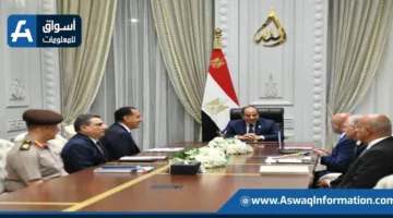 الرئيس السيسي يراقب سير الأعمال في مشروع القطار الكهربائي السريع والمونوريل