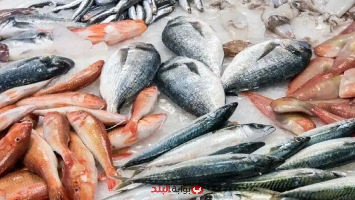 اطلع على أسعار الأسماك ليوم الأربعاء، 27 أغسطس 2025، بما في ذلك سعر سمك البلطي. اطلع على أسعار الأسماك ليوم الأربعاء، 27 أغسطس 2025، بما في ذلك سعر سمك البلطي.