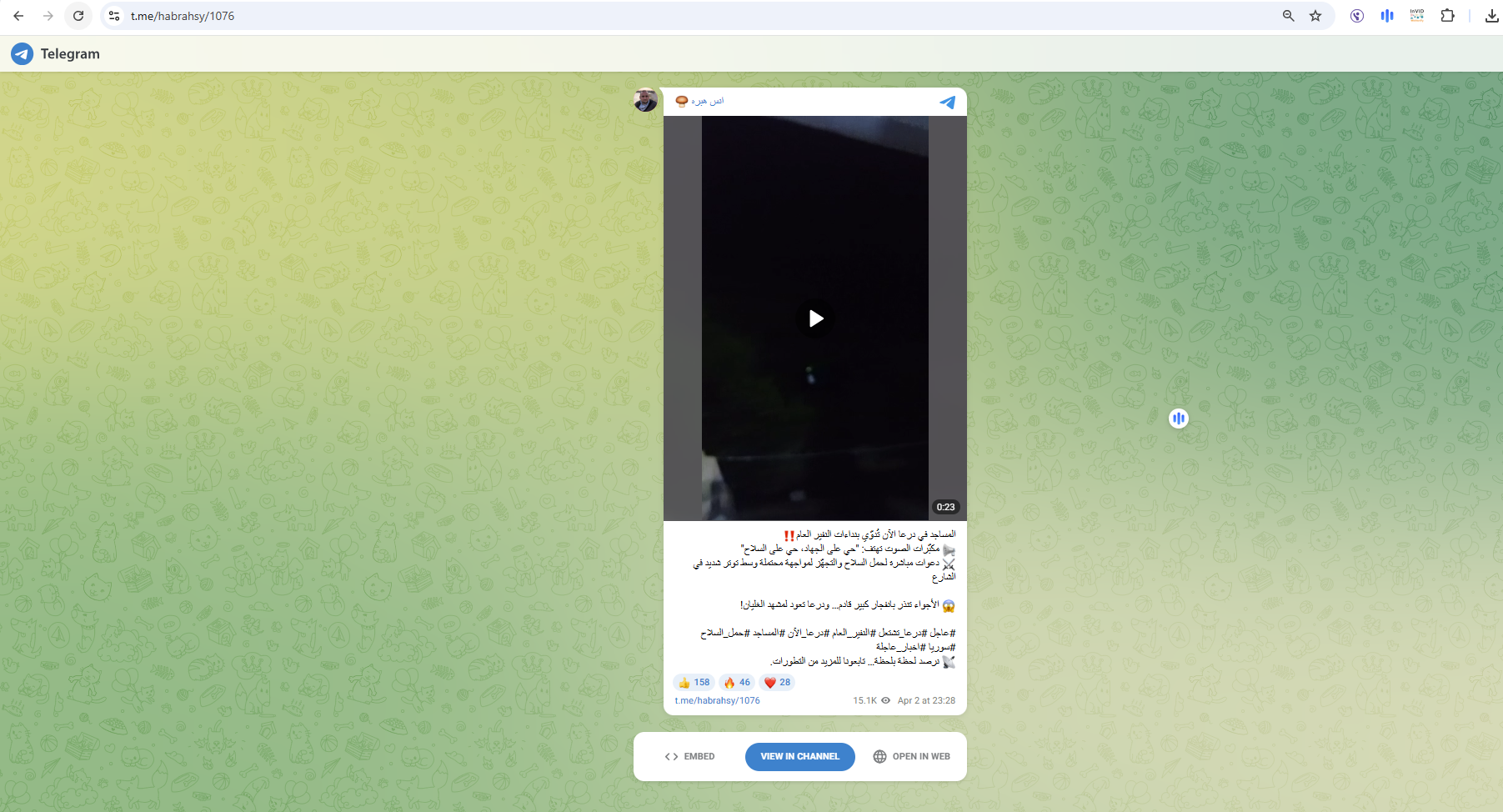 لقطة من الفيديو المنشور في حساب انس هبره في تلغرام في 2 نيسان 2025م