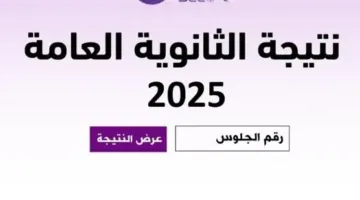 رابط نتائج امتحانات الثانوية العامة للدور الثاني 2025