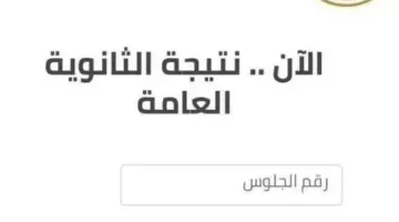 رابط نتائج الثانوية العامة 2025 الدور الثاني في الجيزة