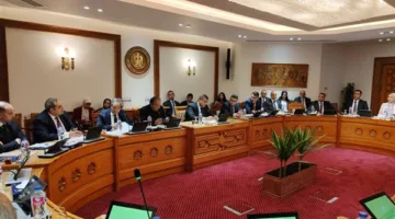 اللجنة الدائمة لمتابعة العلاقات المصرية الإفريقية تستعرض فرص جديدة للتعاون وتعزيز الاستثمارات