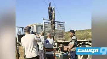 بعد فترة انقطاع لمدة 3 أشهر.. معاناة سكان “حي بشحات” تنتهي مع عودة الكهرباء
