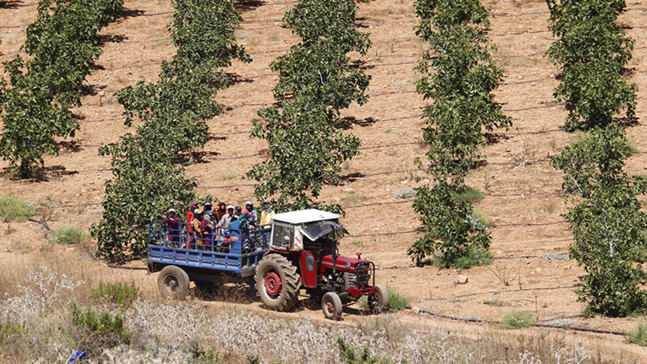 حقل زراعي في لبنان (وكالات).