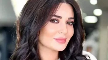 علاقة سيرين عبد النور بالفنان العراقي سيف نبيل: كل التفاصيل