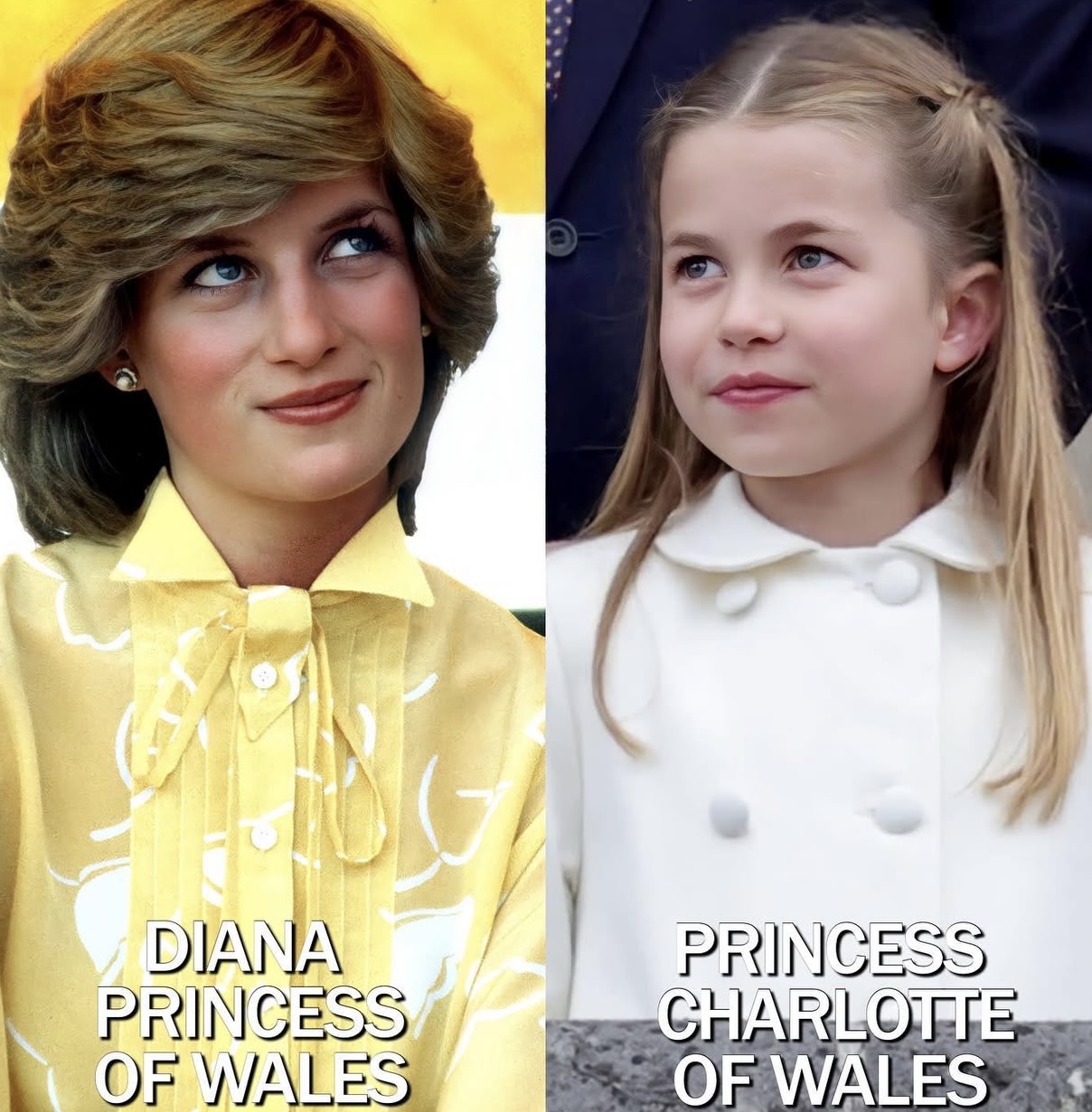 تكريس صورة Mini Diana في الإعلام (إنستغرام)