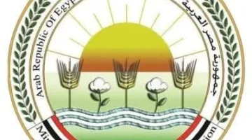 وزير الزراعة: مبادرات وطنية لتعزيز إنتاجية الجاموس المصري من اللحوم والألبان بمعدل 100%