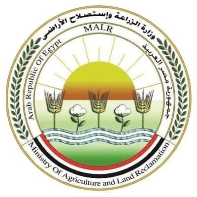 وزير الزراعة: مبادرات وطنية لتعزيز إنتاجية الجاموس المصري من اللحوم والألبان بمعدل 100%