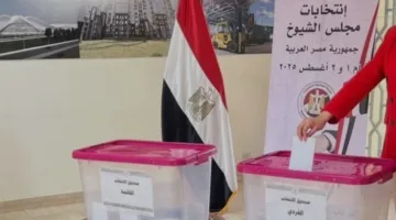 المصريون في الخارج يستمرون في التصويت لليوم الثاني في انتخابات مجلس الشيوخ 2025