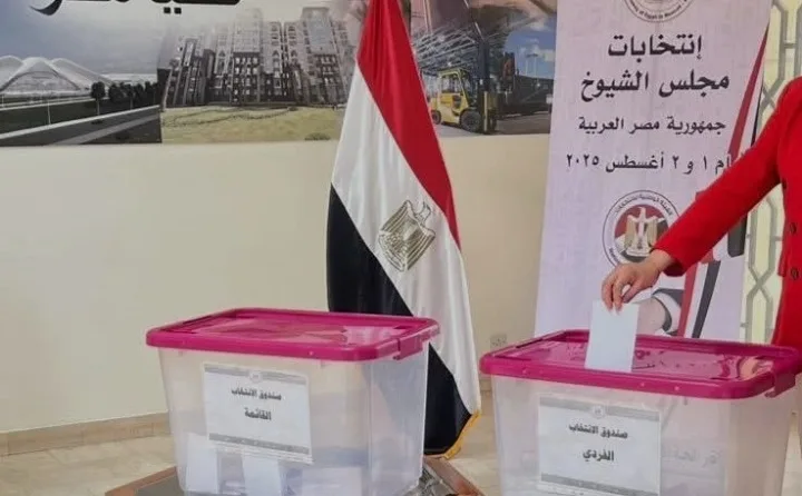 المصريون في الخارج يستمرون في التصويت لليوم الثاني في انتخابات مجلس الشيوخ 2025 المصريون في الخارج يستمرون في التصويت لليوم الثاني في انتخابات مجلس الشيوخ 2025