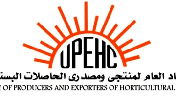 اليوم.. بدء فتح حجز بذور بطاطس “هيتما” الهولندية لموسم الصيف 2025/2026