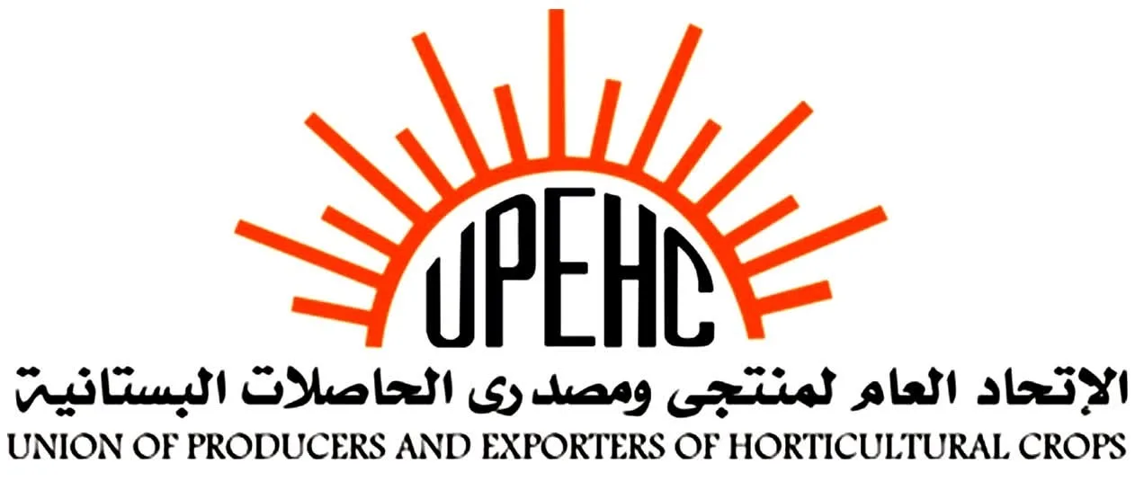 اليوم.. بدء فتح حجز بذور بطاطس “هيتما” الهولندية لموسم الصيف 2025/2026 اليوم.. بدء فتح حجز بذور بطاطس “هيتما” الهولندية لموسم الصيف 2025/2026
