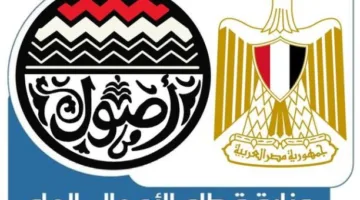 قطاع الأعمال”: “هايديليكو” تكتمل من مشروع ربط كهربائي في “الدلتا الجديدة