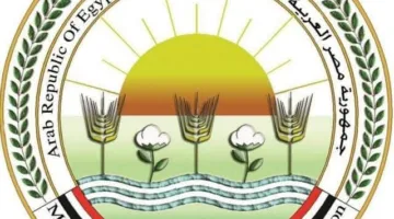 “الزراعة”: استثمار 10 مليارات جنيه لدعم المربين الصغار وزيادة إنتاج اللحوم والألبان