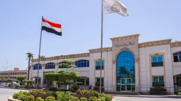 20 سفينة في ميناء دمياط وحجم البضائع يتجاوز 73 ألف طن خلال 24 ساعة