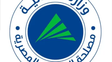 “الضرائب”: الفاتورة والإيصال الإلكتروني كوسائل حماية للتجار والمستهلكين