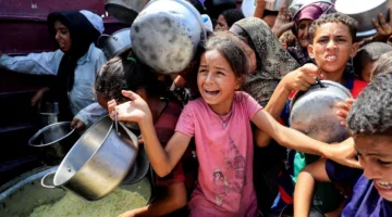 زيادة عدد شهداء الجوع في غزة إلى 313، بينهم 119 طفلاً.