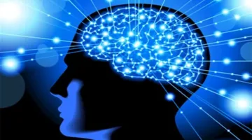 5 استراتيجيات لتعزيز صحة الدماغ وتقوية الذاكرة.. اكتشفها الآن