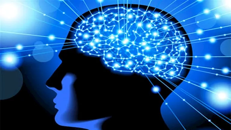5 استراتيجيات لتعزيز صحة الدماغ وتقوية الذاكرة.. اكتشفها الآن