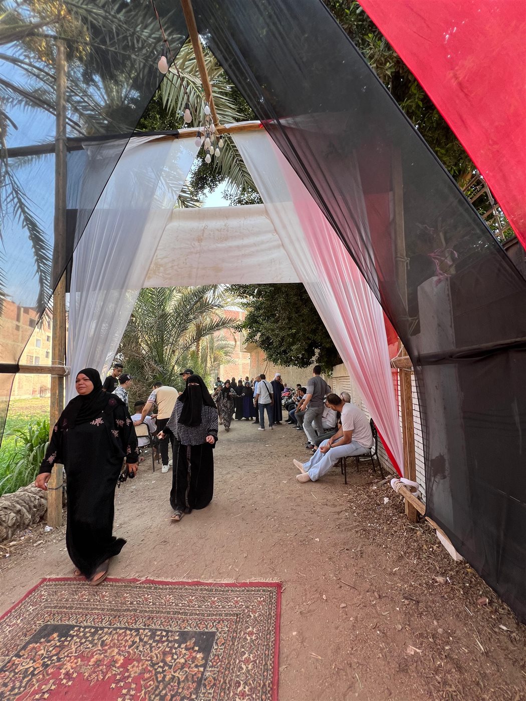 انتخابات مجلس الشيوخ 2025
