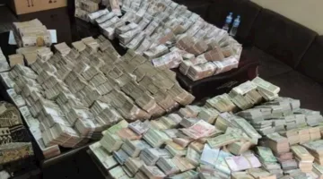 7 ملايين جنيه.. إيرادات قضايا تجارة العملات في غضون 24 ساعة