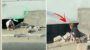 الثقب الأسود في الجيزة: تدابير عاجلة لحماية الفتحات تحت الكباري والمحاور من الاستغلال.
