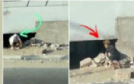 الثقب الأسود في الجيزة: تدابير عاجلة لحماية الفتحات تحت الكباري والمحاور من الاستغلال. الثقب الأسود في الجيزة: تدابير عاجلة لحماية الفتحات تحت الكباري والمحاور من الاستغلال.