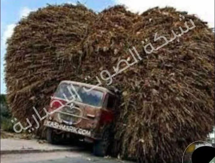 اللاجئون: تحديات وأزمة، والاقتصاد يتأثر سلبًا اللاجئون: تحديات وأزمة، والاقتصاد يتأثر سلبًا