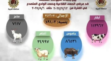 تعزيز مناعة الماشية في الغربية.. مساعي قوية لحماية الثروة الحيوانية