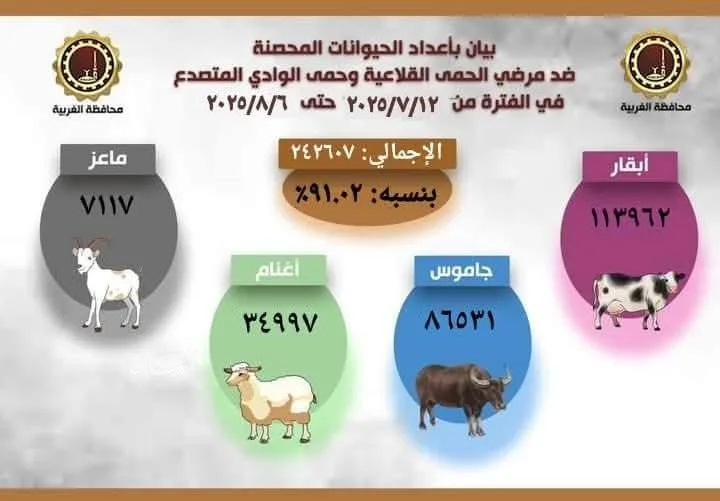 تعزيز مناعة الماشية في الغربية.. مساعي قوية لحماية الثروة الحيوانية تعزيز مناعة الماشية في الغربية.. مساعي قوية لحماية الثروة الحيوانية