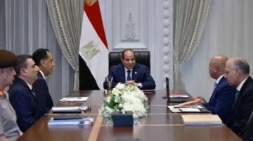 الرئيس السيسي يستعرض التخطيط الشامل لميناء جرجوب البحري والمنطقة الاقتصادية المخصصة.